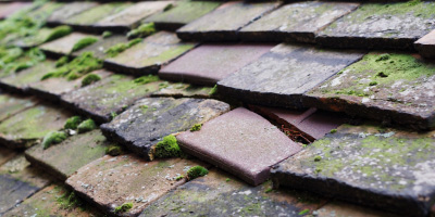 Llanellen roof repair costs